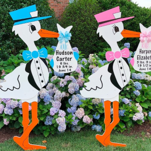Boy/Girl Stork Birth Announcement yard signs, Montgomery Texas