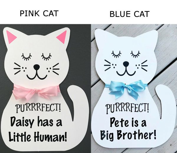 Cat Sign- Pink/Blue Montgomery, Texas